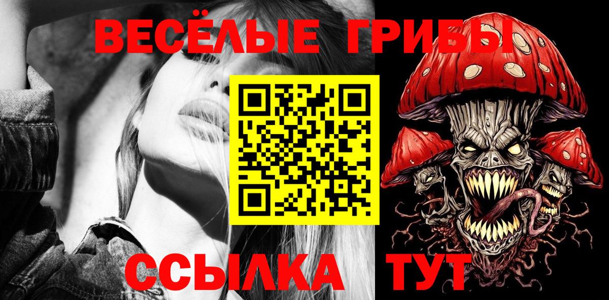 Псилоцибиновые грибы MAGIC MUSHROOMS  продажа наркотиков  Тихорецк  Вход с VPN 